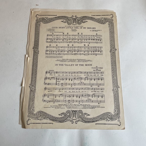 Beautiful Blue Danube Waltz Johann Strauss 1932 Lyrics Max‎ Freedman arr. Parker - Picture 4 of 4